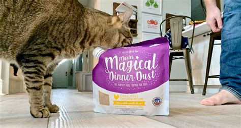 Magical dinner dust cat